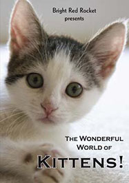 kitten_dvd_cover